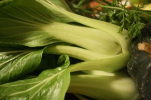 baby-bok-choy