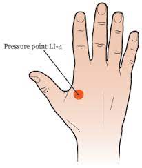 Large Intestine 4 acupressure point